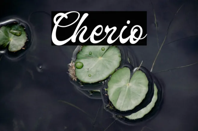 Cherio Example 1