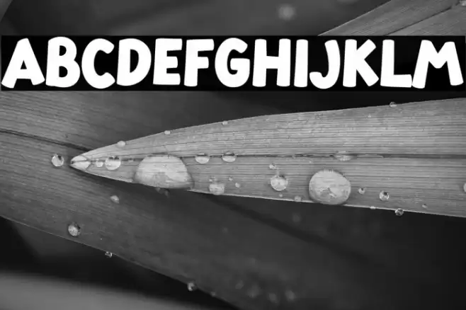 Cherioz Polices examples