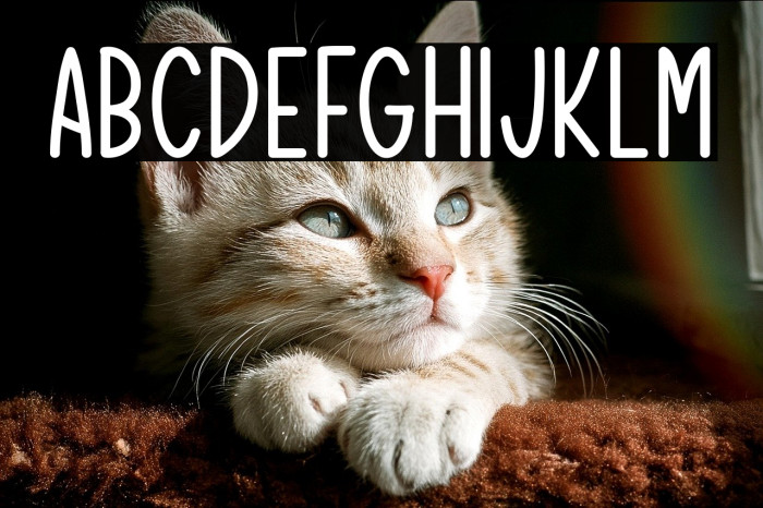 Cherish Today Example 1