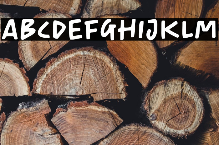 CherishTodayDEMO Example 1