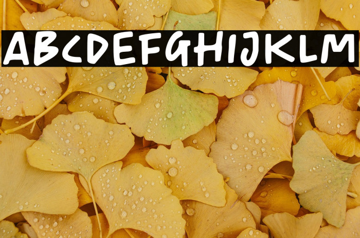 CherishTodayDEMO Example 3