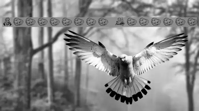 Cherished Teddies Font examples