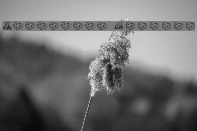 Cherished Teddies Font examples