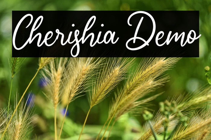 Cherishia Demo Example 1