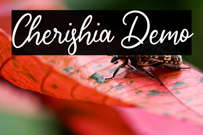 Cherishia Demo Example 3