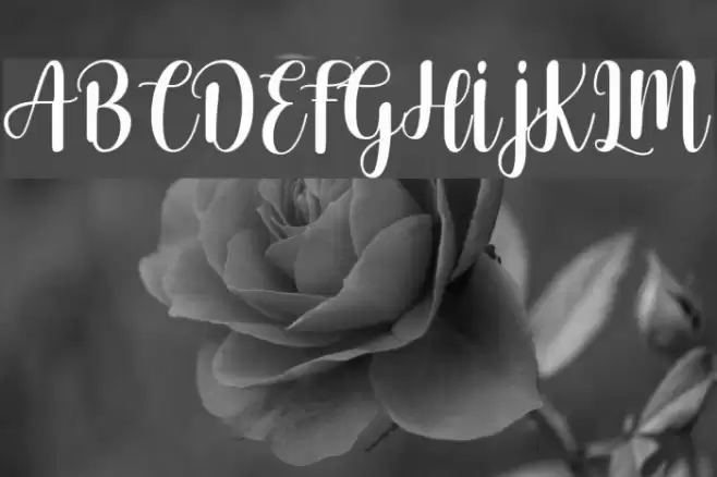 Cherishing Moments Font examples