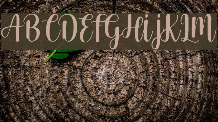 Cherishing Moments Font examples