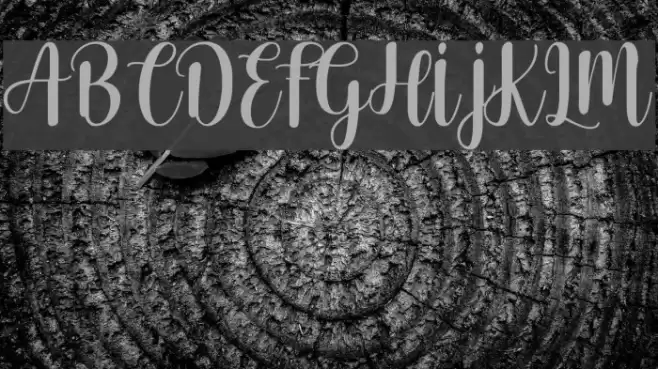 Cherishing Moments Font examples