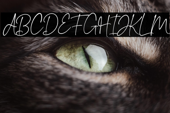 CherishlineDemo-Regular Example 2