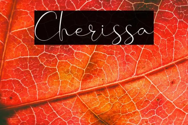 Cherissa Example 1