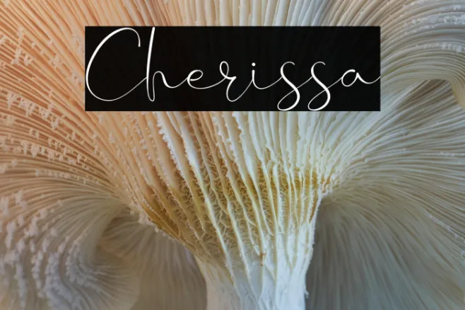 Cherissa Example 2