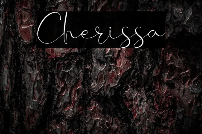 Cherissa Example 3