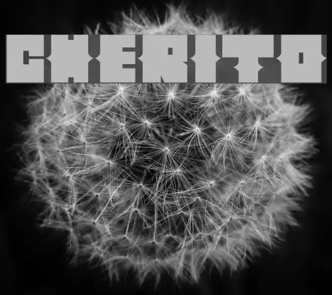 Cherito Font examples