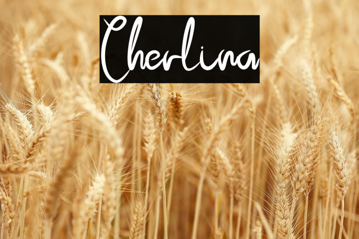 Cherlina Example 3
