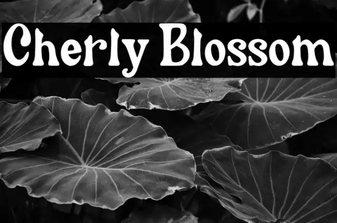 Cherly Blossom Font examples