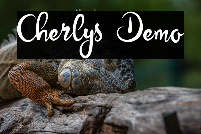 Cherlys Demo Example 1