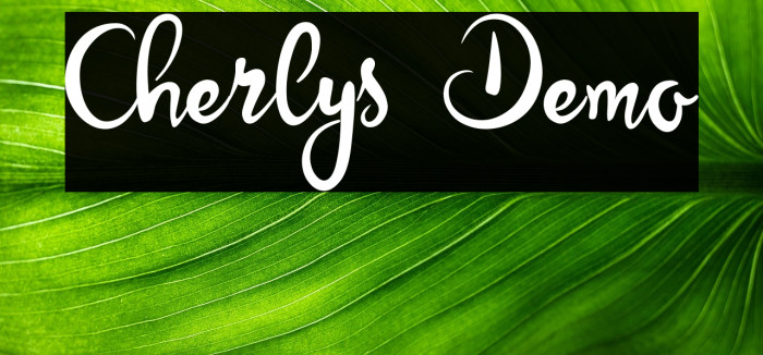 Cherlys Demo Example 2