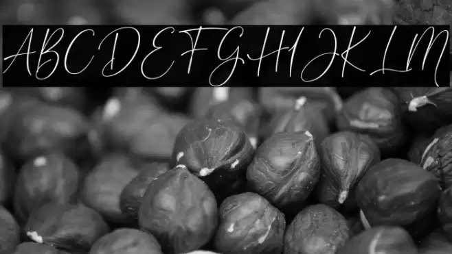 Cherolina Font examples