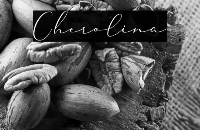 Cherolina Font examples