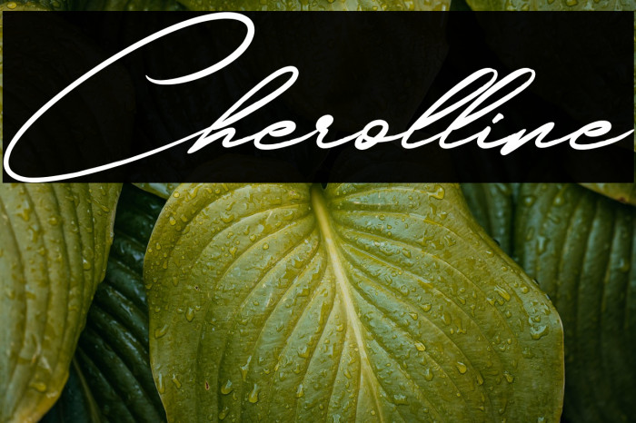 Cherolline Example 3