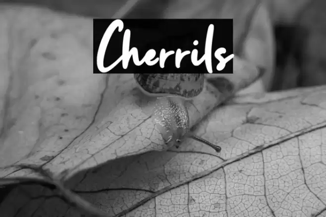 Cherrils خط examples