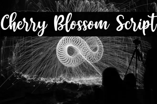 Cherry Blossom Script Font examples