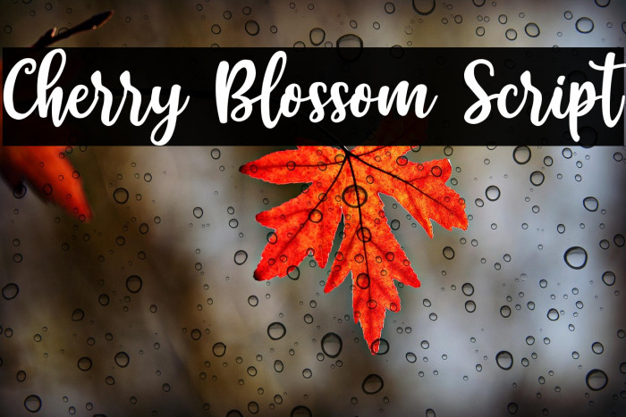 Cherry Blossom Script Example 2
