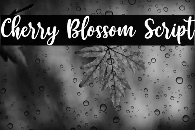 Cherry Blossom Script Font examples
