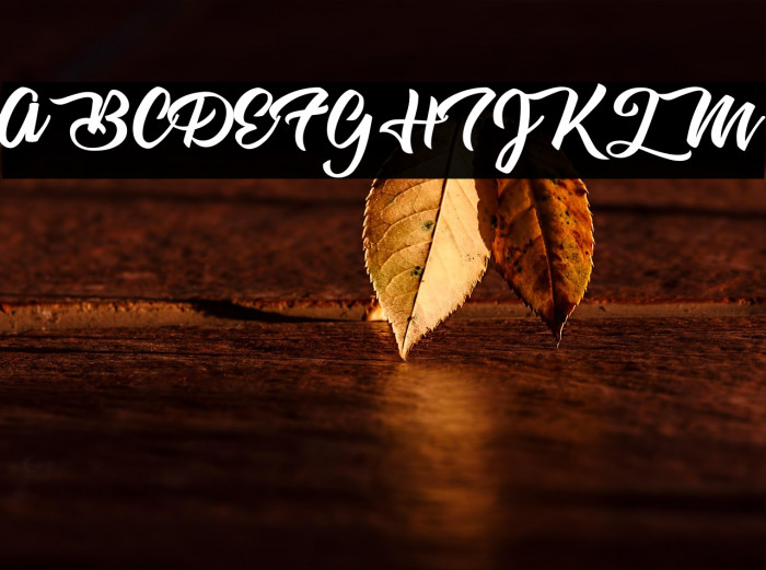 Cherry Blossom personal Use Example 1