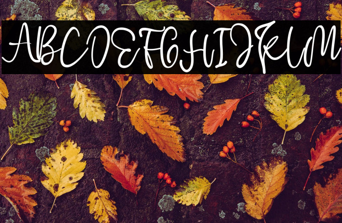 Cherry Blossom Example 2