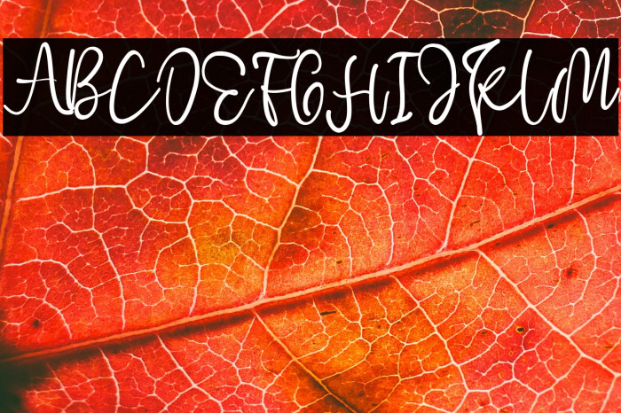 Cherry Blossom Example 3