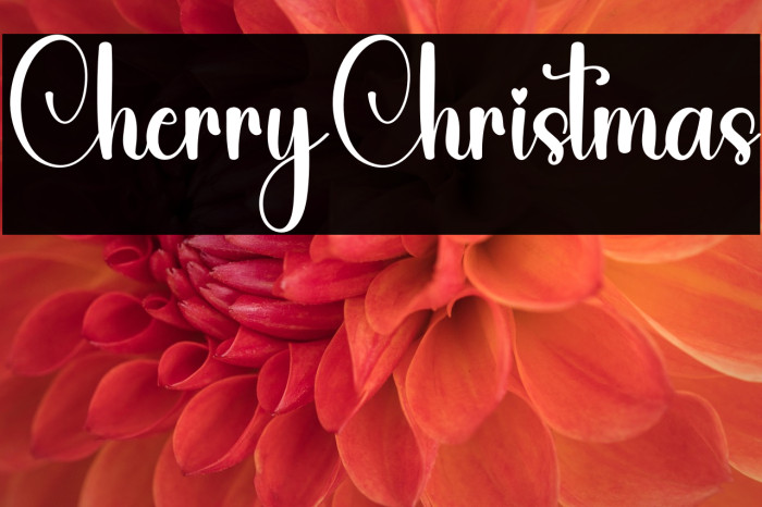 Cherry Christmas Example 1