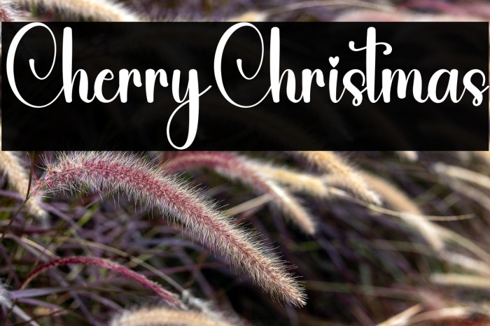 Cherry Christmas Example 2