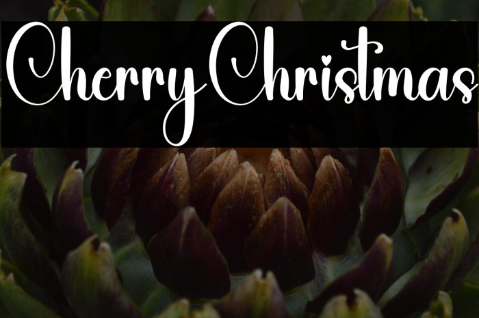 Cherry Christmas Example 3