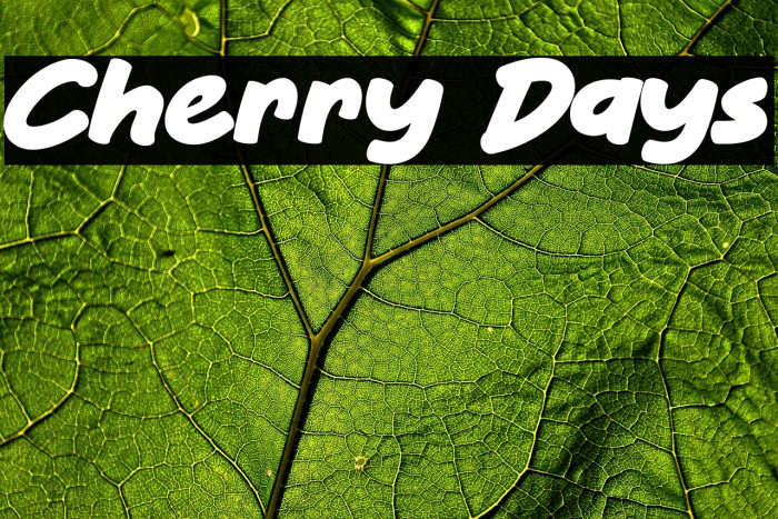 Cherry Days Example 1