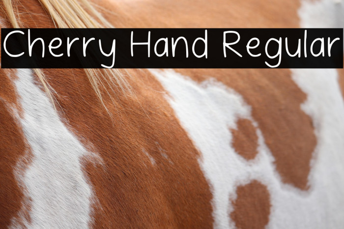 Cherry Hand Regular Example 3
