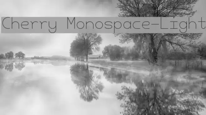 Cherry Monospace-Light Font examples