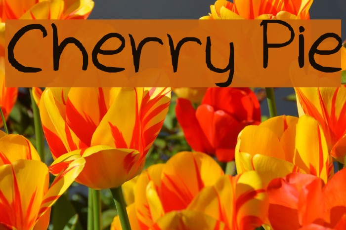 Cherry Pie Font examples