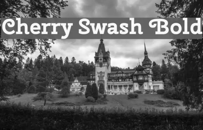 Cherry Swash Bold Font examples