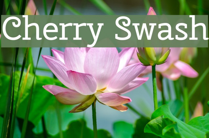 Cherry Swash Font examples