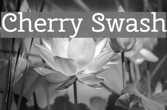 Cherry Swash خط examples
