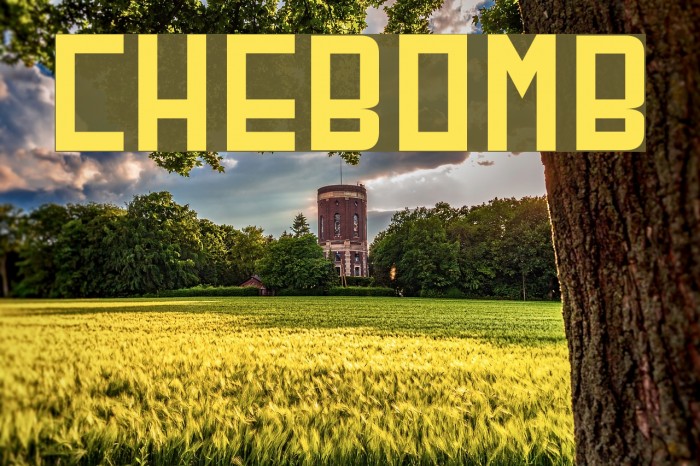 CherryBomb Font examples
