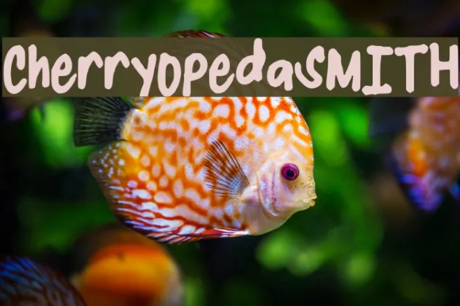 CherryOpedaSMITH Example 2