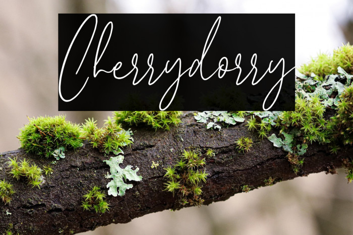 Cherrydorry Example 3