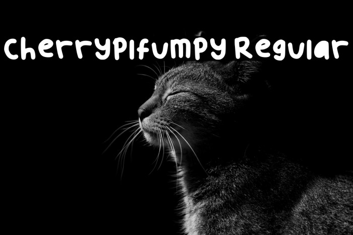 Cherryplfumpy Regular Example 1