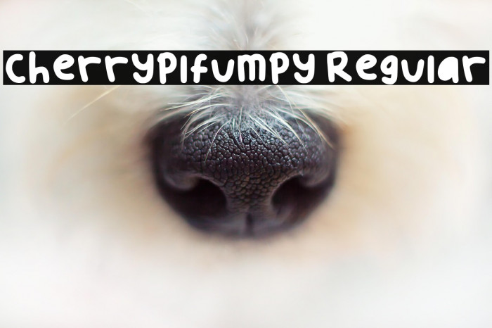 Cherryplfumpy Regular Example 2