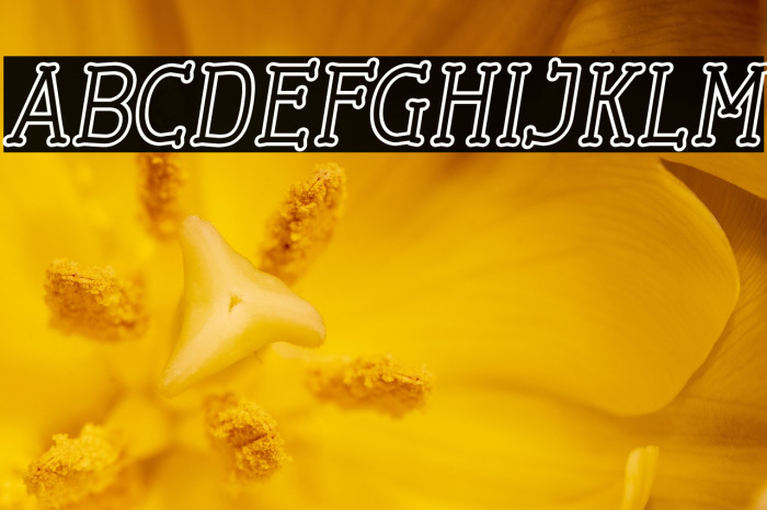 Cherrytha One Italic Example 1