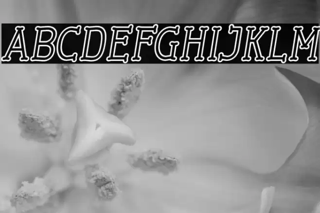 Cherrytha One Italic Font examples