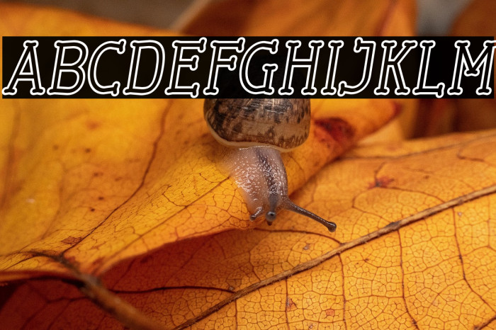 Cherrytha One Italic Example 3