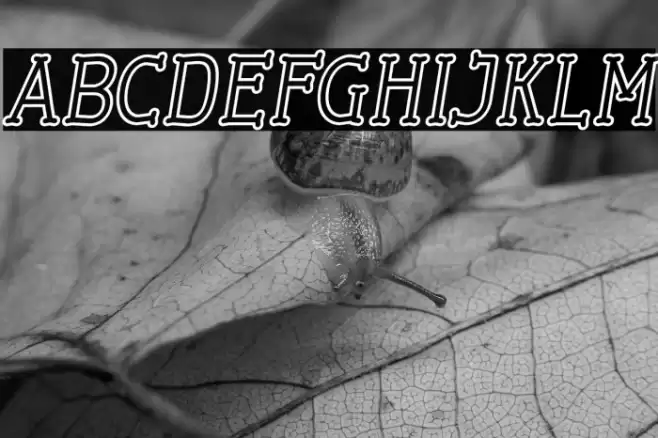 Cherrytha One Italic Font examples